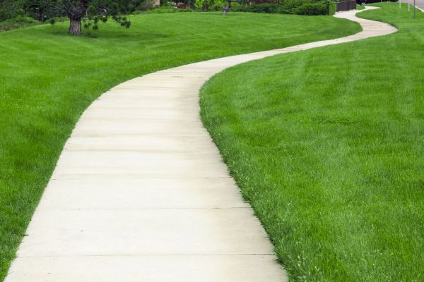 Pathway Replacement in Anacortes