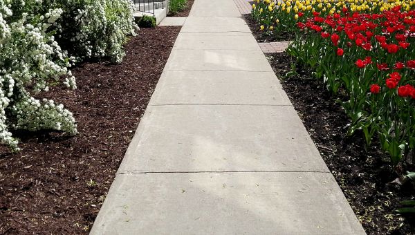 Sidewalk Slab Replacement in Anacortes