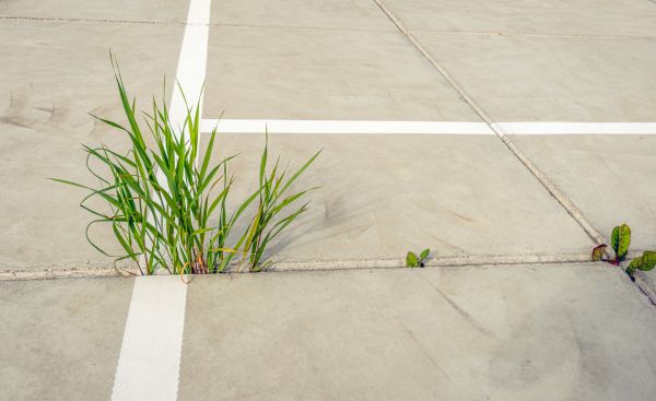 Concrete Parking Installation in Anacortes